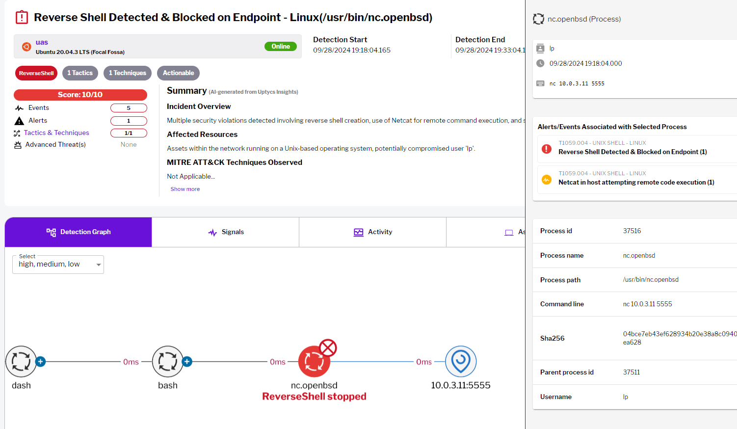 Fig 10. Detection view in Protect mode