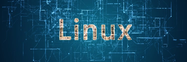 Unveiling Evasive Techniques Employed by Malicious Linux Shell Scripts